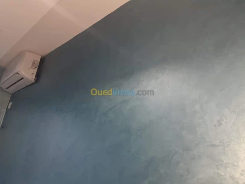 Peintures & Monocouche 