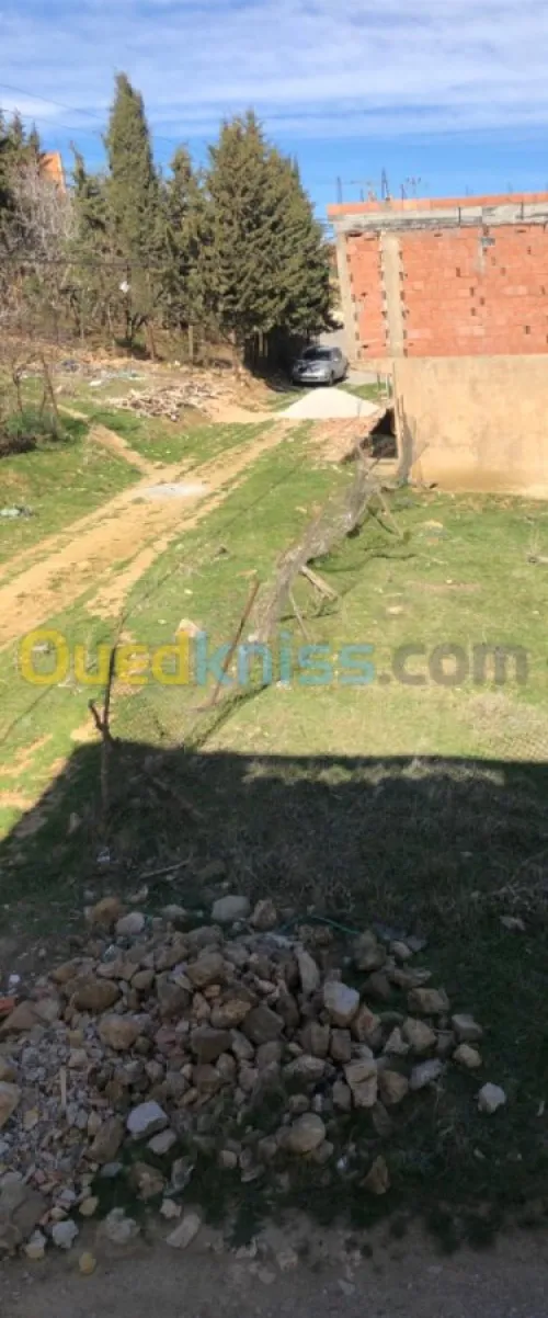 Vente Terrain Tissemsilt Theniet el had