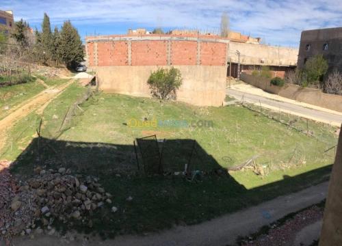 Vente Terrain Tissemsilt Theniet el had