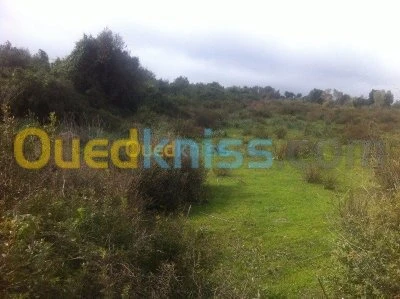 Vente Terrain Jijel Kaous