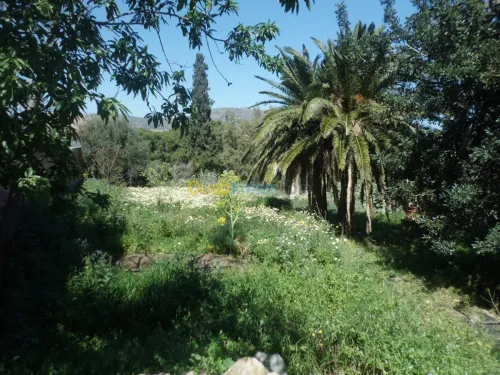 Vente Villa Oran Mers El Kébir
