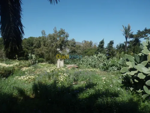 Vente Villa Oran Mers El Kébir