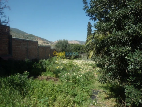 Vente Villa Oran Mers El Kébir