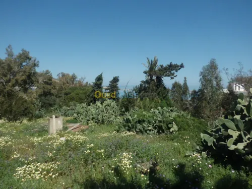 Vente Villa Oran Mers El Kébir