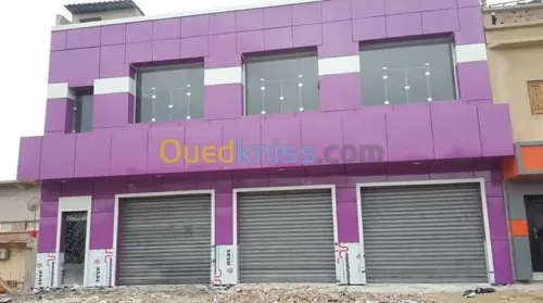 Revêtement faced Alucobond mur rideau