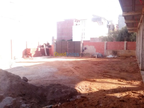 Location Local Alger Saoula