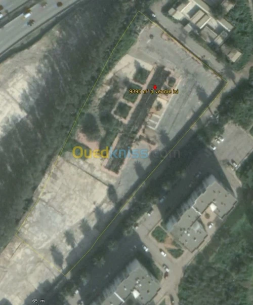 Vente Terrain Alger Bachdjerrah