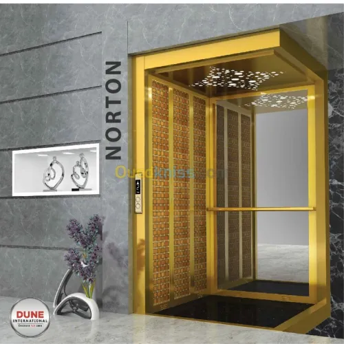 Installation Ascenseur-Elevator-Lifts- Monte charge- Monte escaliers