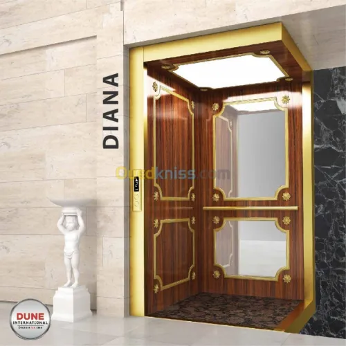 Installation Ascenseur-Elevator-Lifts- Monte charge- Monte escaliers