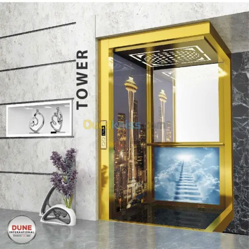 Installation Ascenseur-Elevator-Lifts- Monte charge- Monte escaliers