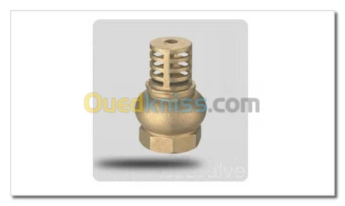 Clapet et crépine en bronze