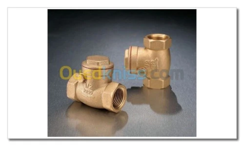 Clapet et crépine en bronze