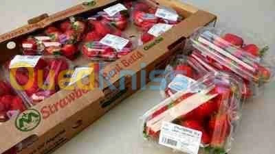 Thermoformage Barquette Alimentaire 