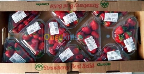 Thermoformage Barquette Alimentaire 