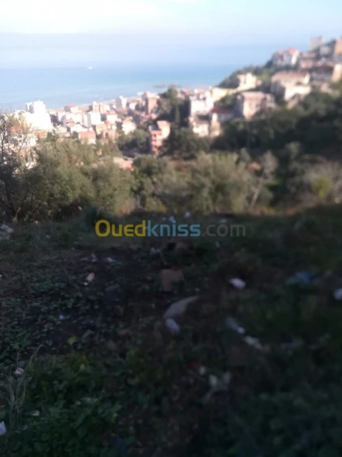 Vente Terrain Bejaia Tichy