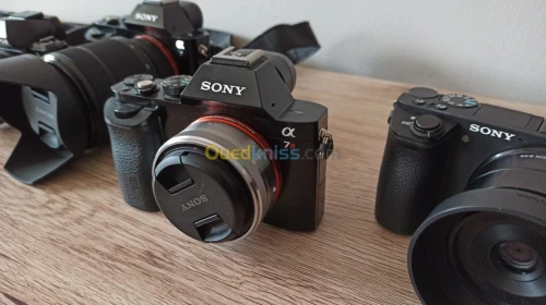 Canon Nikon Sony Fujifilm pantax Lumix