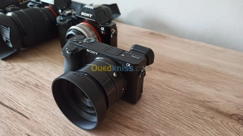 Canon Nikon Sony Fujifilm pantax Lumix