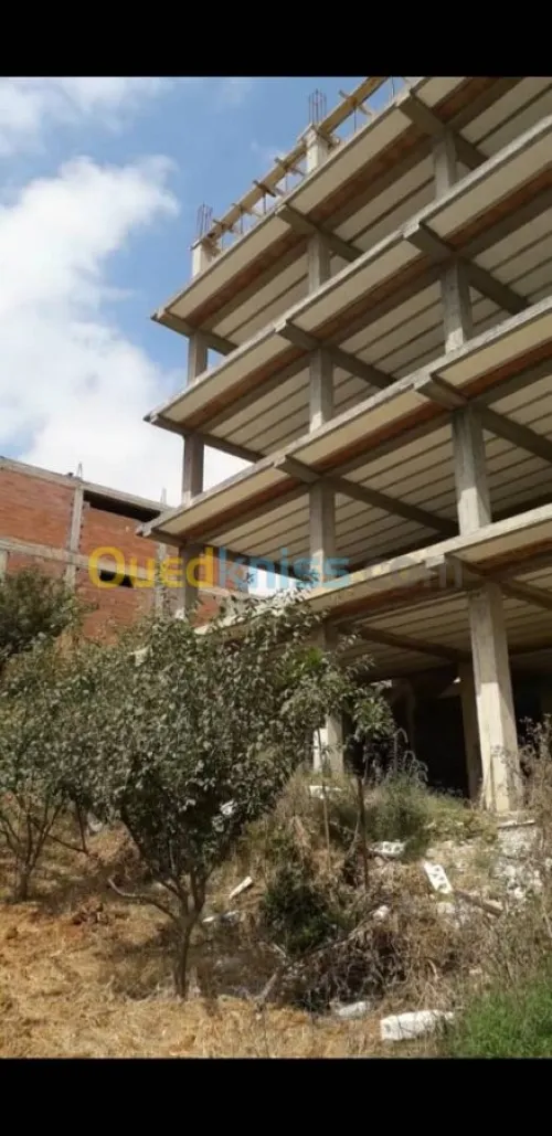 Vente Villa Alger Douera