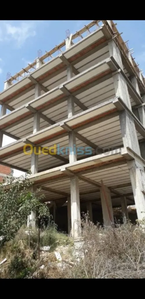Vente Villa Alger Douera