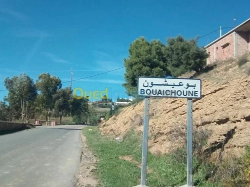 Vente Terrain Medea Bouaichoune
