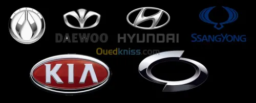 Diagnostic & Scanner Automobiles