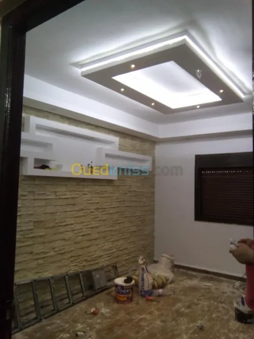 BA13,PVC,peinture,habillage mural,