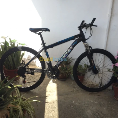 Velo Phœnix 