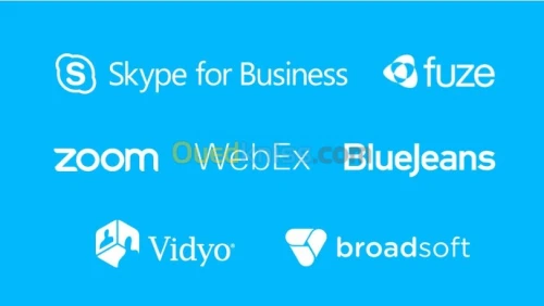 Logitech ConferenceCam BCC950