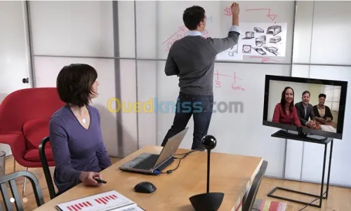 Logitech ConferenceCam BCC950