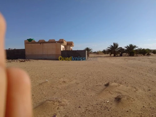 Vente Terrain Tebessa Negrine
