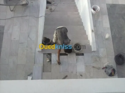 maçon & piscine étanchéité