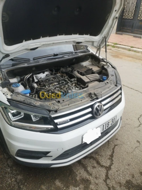 AdBlue off ,EGR off, reprogramation