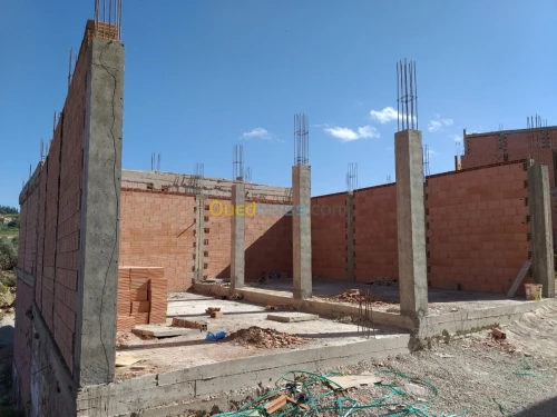 Vente Carcasse Tlemcen Tlemcen