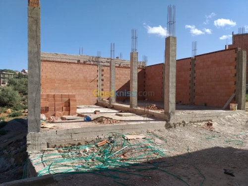 Vente Carcasse Tlemcen Tlemcen