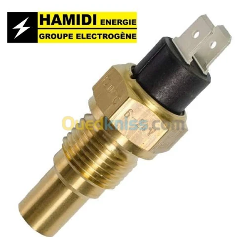 stop moteur 12v 24v groupe electrogene