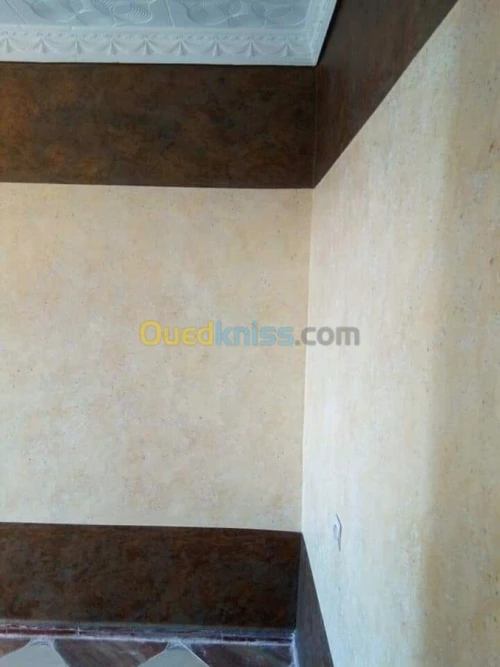 Peintre  plafond pvc