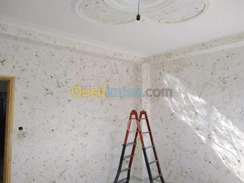 Peintre  plafond pvc