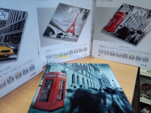 PESE PERSONNE ☆ BEURER ☆ GS 203 ☆