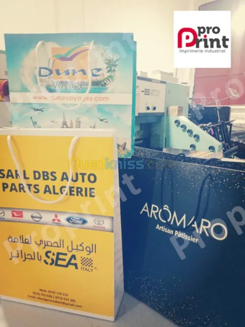 OFFSET ET NUMERIQUE GRAND FORMAT