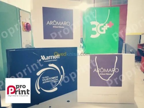 OFFSET ET NUMERIQUE GRAND FORMAT