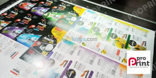 OFFSET ET NUMERIQUE GRAND FORMAT