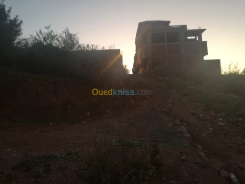 Vente Terrain Blida Bouinan