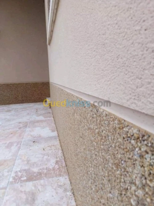 Monocouche - plâtre projeté - peinture