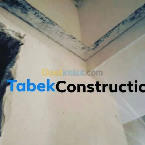 Monocouche - plâtre projeté - peinture