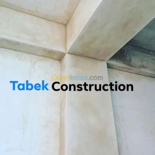 Monocouche - plâtre projeté - peinture