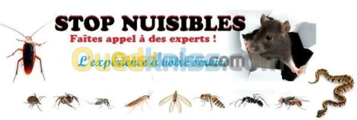 Dératisation Désinfection Désinsectisa