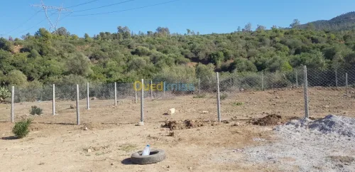 تسييج  الاراضي  و تركيب حقول العنب 