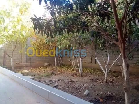 Vente Villa Msila Sidi aissa