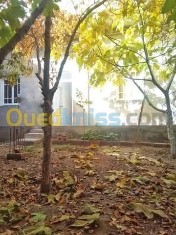 Vente Villa Msila Sidi aissa