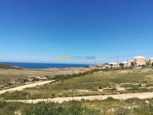 Vente Terrain Ain temouchent Bou zedjar